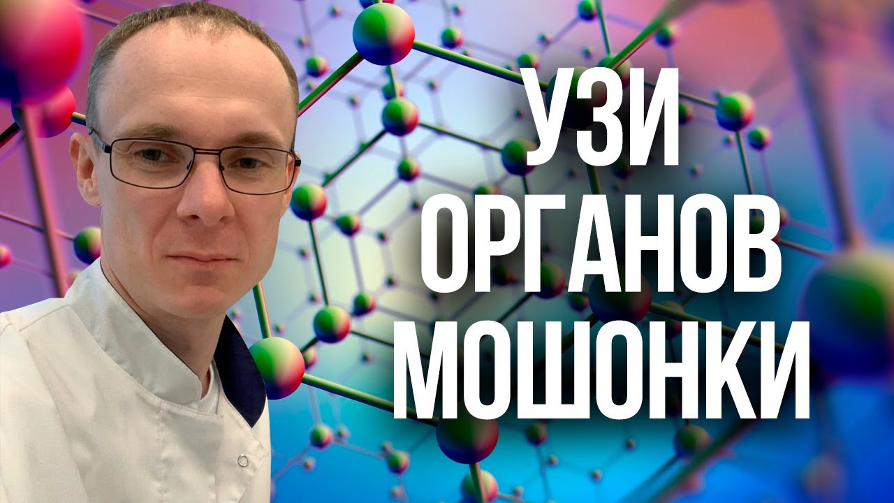 УЗИ органов мошонки. Врач уролог-андролог. Москва. - YouTube