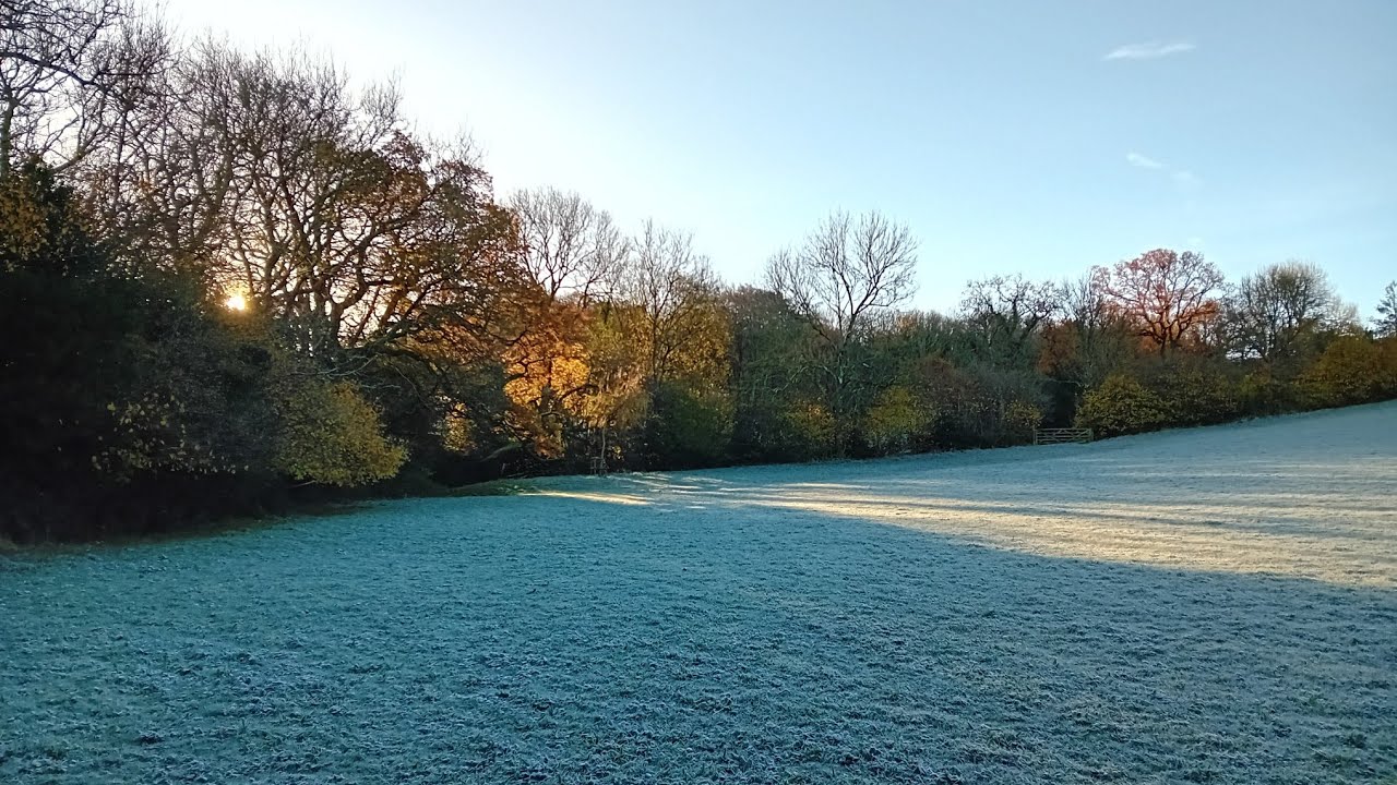 Frosty Morning - YouTube