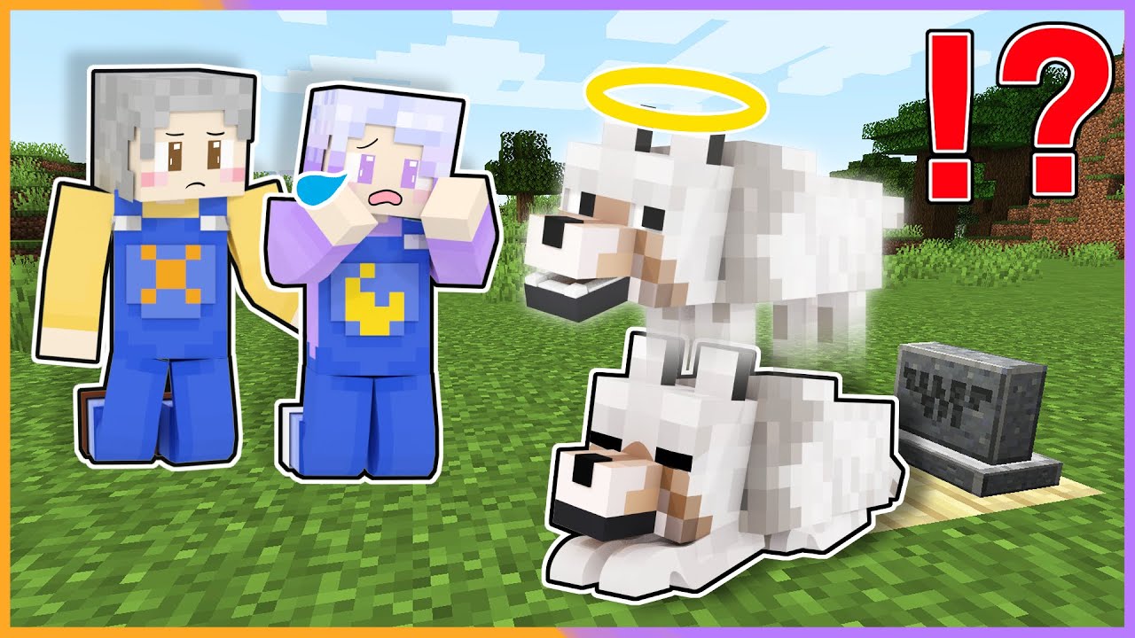 オバケになったカワイイ犬を生き返らせようとした結果 過去に戻って助けられる マイクラ まいくら Minecraft Youtube