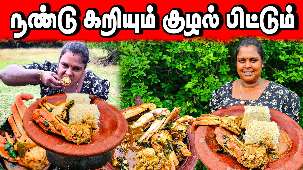 சாப்பாட்டில் பழி வாங்கிய மனைவி | My village life stays | vanni vlog