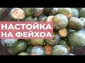 Настойка на фейхоа. Удиви гостей на Новый год