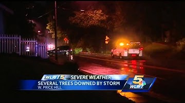 Storms knock down trees, knock out power overnight