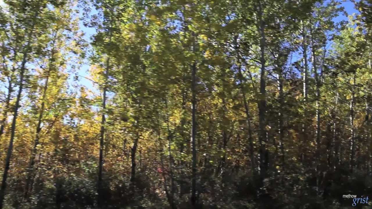 Fall Colors - YouTube