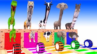 Max Level Long Neck Cow Elephant Gorilla Tiger TRex Guess The Right Door ESCAPE ROOM CHALLENGE Game
