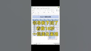 Excel美化表格太简单了！ #office办公技巧 #职场 #excel #excel技巧