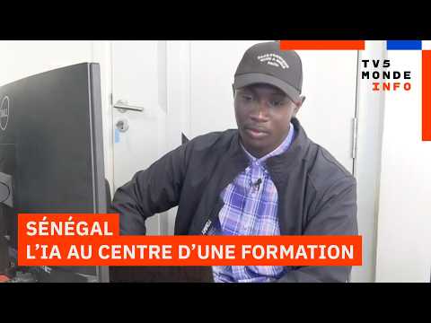 Sénégal : Lancement d’une licence universitaire en data et intelligence artificielle