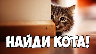 Найди кота, часть 5 🐈 БУДЬ В КУРСЕ TV