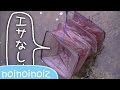 魚キラーを仕掛けてみた【エサが無いのに大漁】編　insect trap without bait
