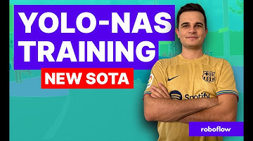 Train YOLO-NAS - SOTA Object Detection Model - on Custom Dataset