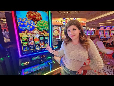 Prepárate para las sorpresas que Paradise Casino tendrá para tí durante todo el 2016
