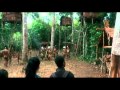 Official Trailer LOST IN PAPUA 10 Maret 2011