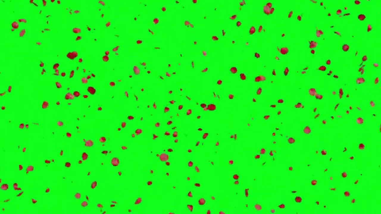 Falling Rose Petals Flower 🌹 | Green Screen