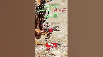 #القران_الكريم #تلاوه_خاشعه #الحنجرة_الذهبية #قال رب انیی ظلمت نفسی #الشيخ محمود الشحات #foryou