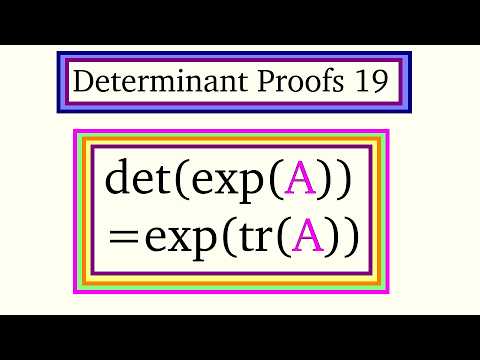 Determinant Proof 19