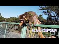 ケチなしずくと哀愁おじさん