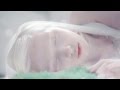 Schiller - Fate