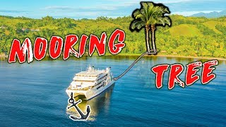 🌴An Unusual Mooring Operation - to Palm Trees!?🌴 That Helped Restoring Eyesight to The Blind!