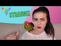 5 Interesting Things I Noticed About Amazon Parrots | PARROT TIP TUESDAY | MARLENE MC'COHEN