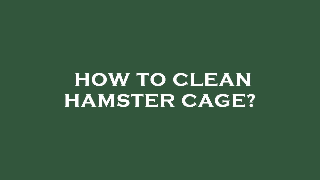 How to clean hamster cage? YouTube
