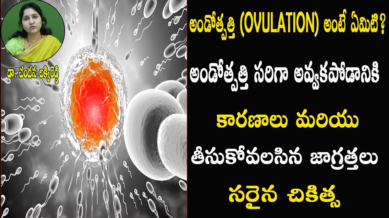 Ovulation induction procedure in Telugu Dr Chandana Lakkireddi PSLV TV NEWS YouTube