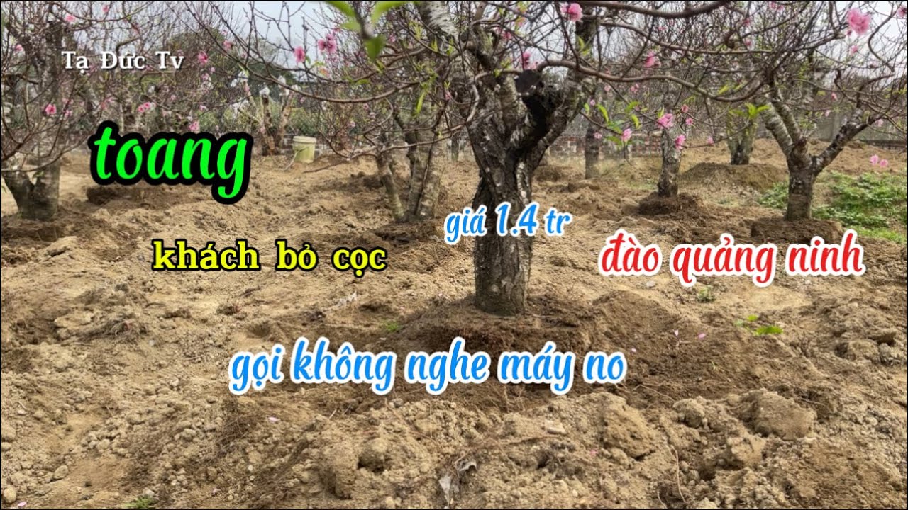 Владелец сада перегружен заказами, и его предоплата аннулирована.