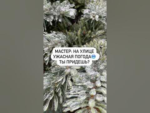 pov(рил): ВОЛГОГРАДСКАЯ ПОГОДА😂 #волгоград #ресницы # ...