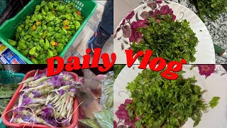 Naga vegetable Daily vlog small family lifestyle #youtubeshorts #shortvideo #dailyvlog #shortsfeed