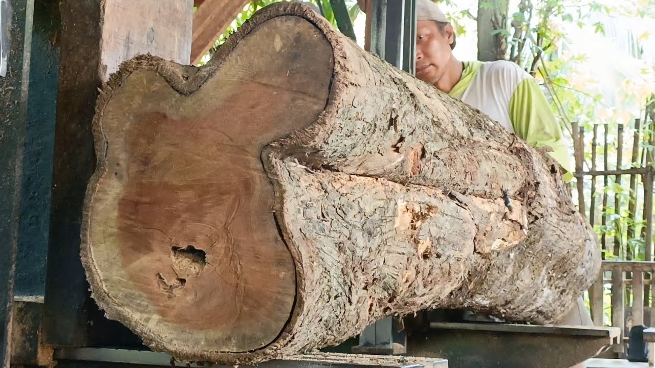 Amazing teamwork to create amazing slabs and furniture materials || sawmill 