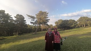 Tokat Bi̇skene Yaylasindan Eve Dönüş