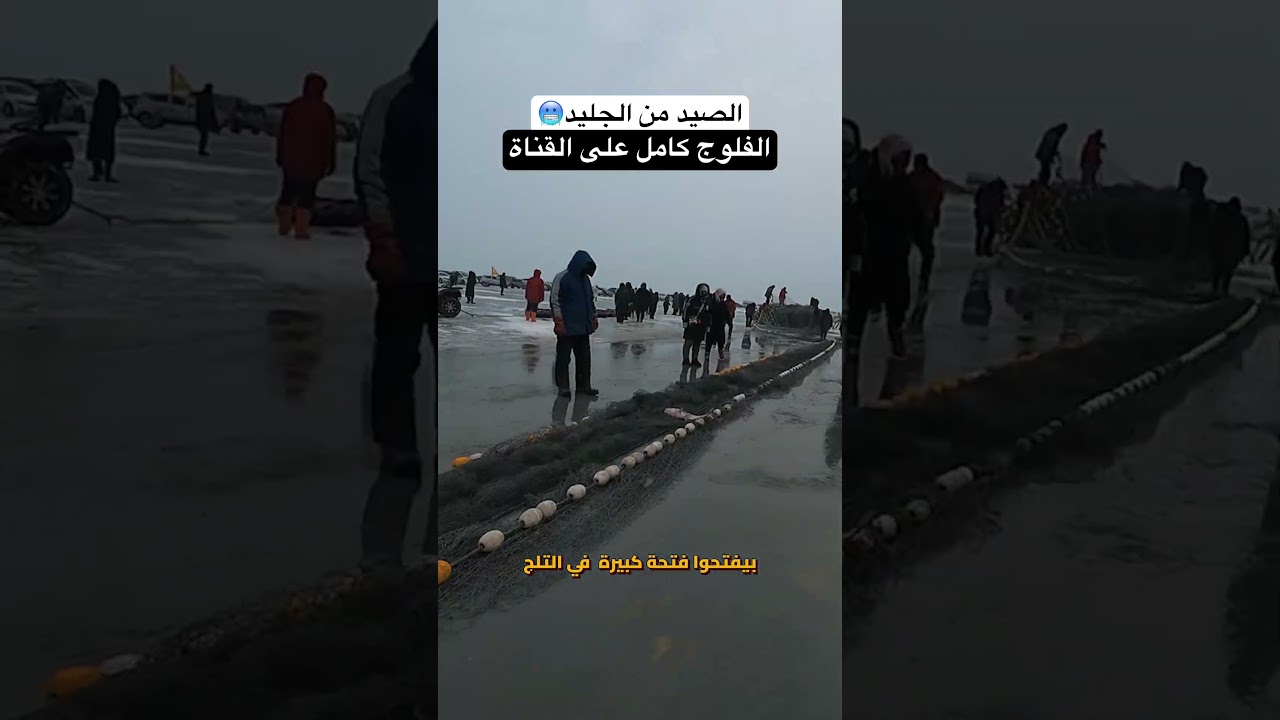 ⁣كيف يصطاد الصينيون الأسماك من الجليد !! أغرب طريقة صيد في العالم ❄️🇨🇳