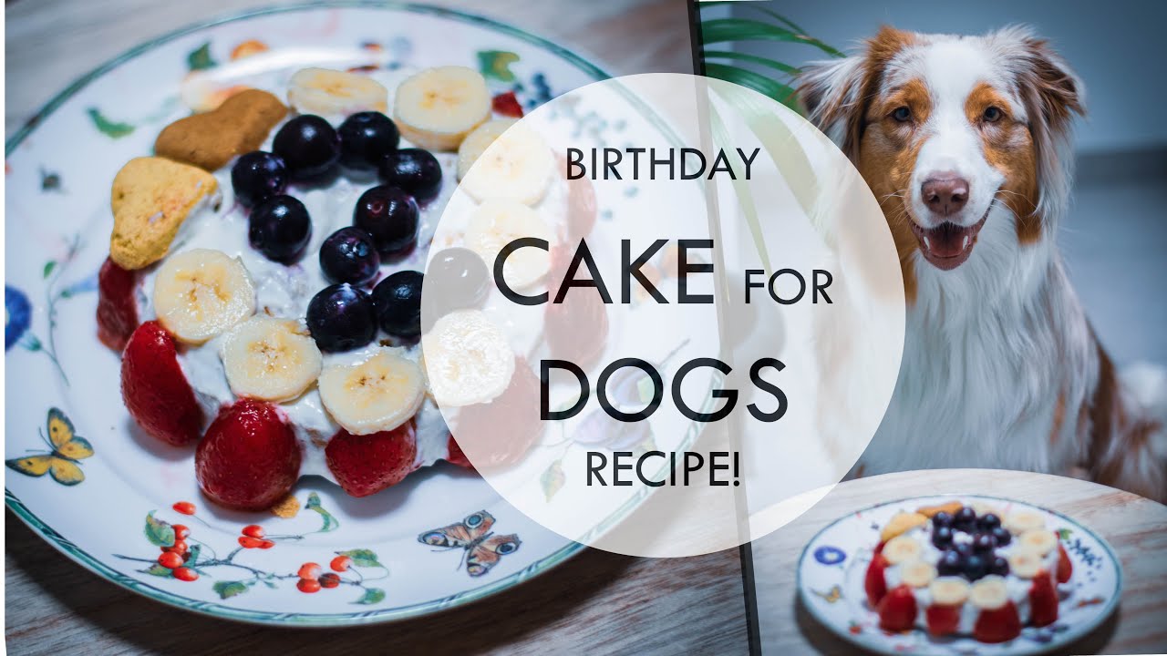 Healthy Birthday Cake Recipe for Dogs! (Easy to make) - YouTube
