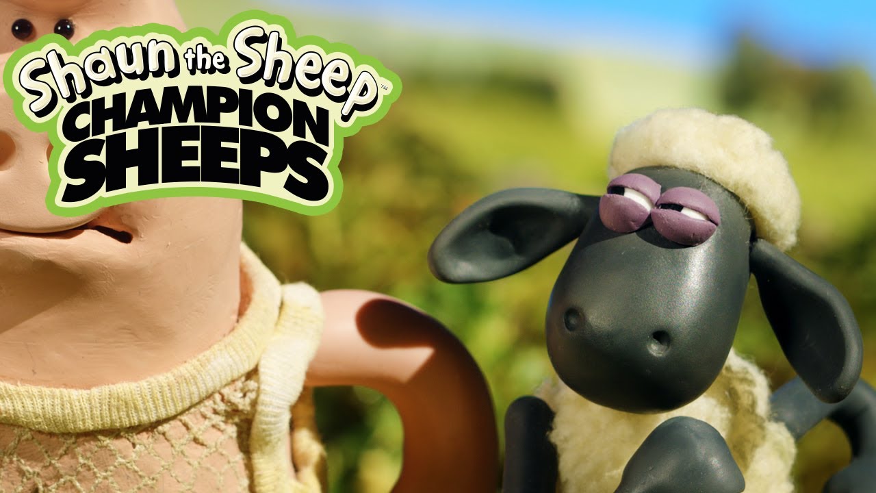 sheep 100m Dash 🏃💨 Championsheeps 🐑 Shaun the Sheep #sport