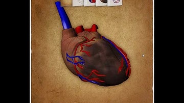 Hybrid Visibility Compositing and Masking for Illustrative Rendering (1)