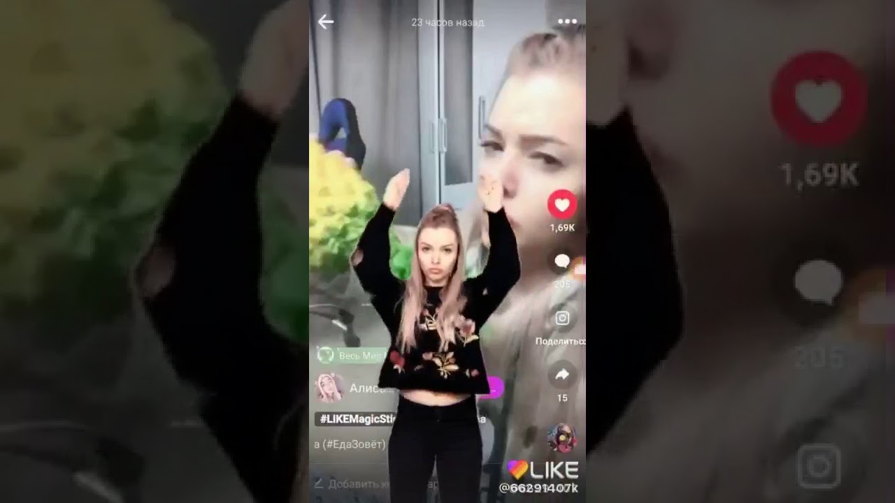 Алиса ты живая. Алиса я живу в городе. Алиса покажи на карте где я нахожусь. Алиса я живу в городе. Алиса я живу в городе.