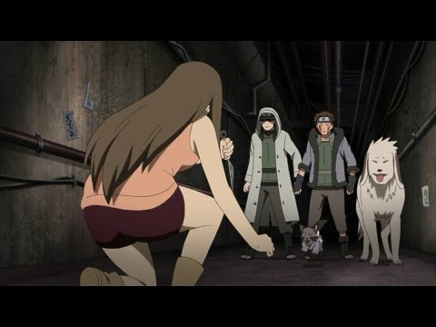 Featured image of post Naruto Ep 498