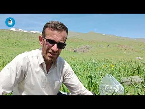 بینەری ئەم فیچەرە بن سروشتی کوردستان بینندە این مستند باشید طبیعت زیبای کردستان 