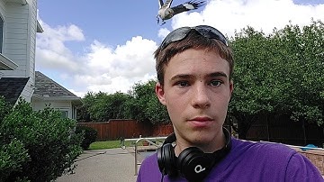 Attacked by an angry mockingbird