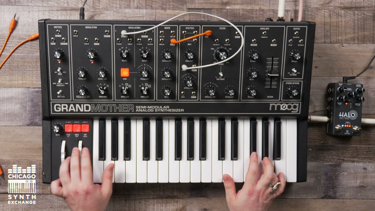 Moog Grandmother Semi-Modular Analog Synthesizer – Chicago Music