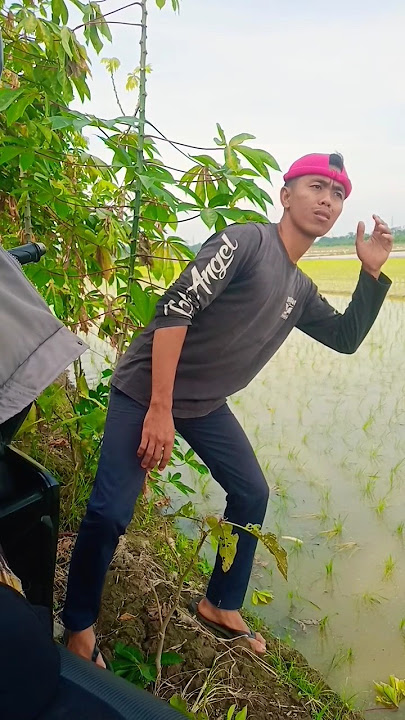 where is the plane #trending #viral