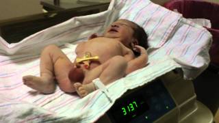 6Lbs 14.6Oz