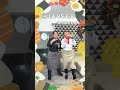 主廚們料理時專注又帥氣沒想到音樂一下...立刻可愛到太犯規！#鄭智善 #川越達也  📺8/29起每週六晚間8點 TVBS42《 #開火開伙 》