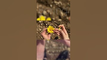 A Boring. Intro...    #gaming #funny #memes #twitch #boring