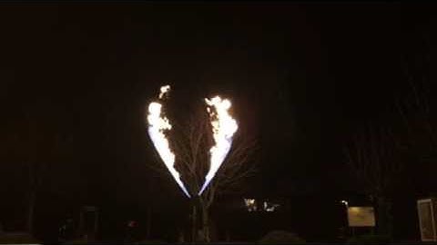 Flammenshow x2 wave flamer explo Pyrotech Austria
