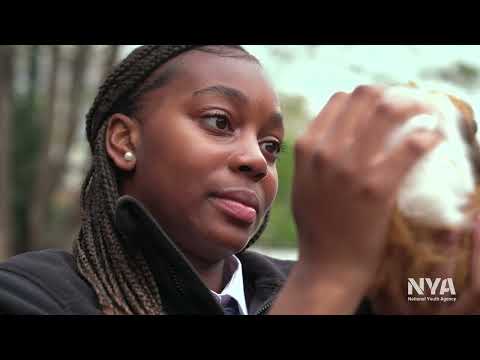 Youth work in