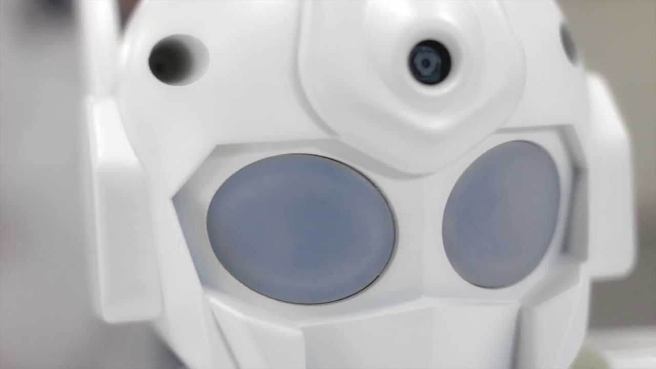 RAPIRO: Mounting of a Raspberry Pi camera module