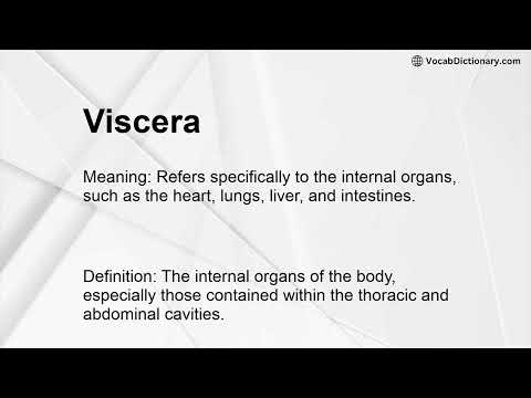 Visceras En Ingles