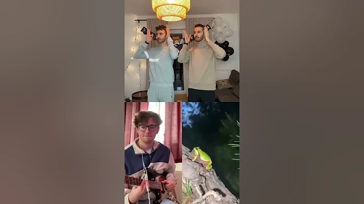 Disco Frog TikTok Chain but its actually good lol