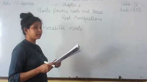 Class IV EVS Chapter 4 Plants....Flowers, roots & trees part 6