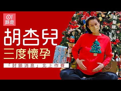 胡杏兒宣佈三度懷孕　「封鎖消息」北上作賽