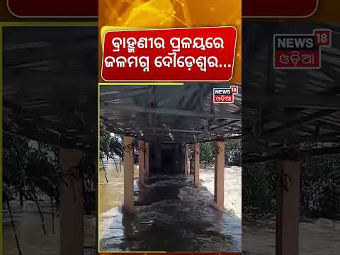 ବ୍ରାହ୍ମଣୀର ପ୍ରଳୟରେ ଜଳମଗ୍ନ ଦୌଡେଶ୍ୱର...Daudeshwar Temple | Brahmani River | Flood News | Odia News